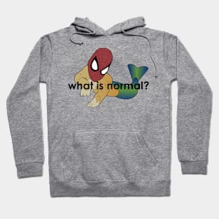 What is normal? Hoodie